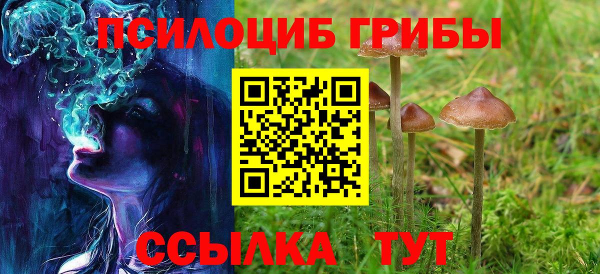Галлюциногенные грибы Magic Shrooms Кингисепп