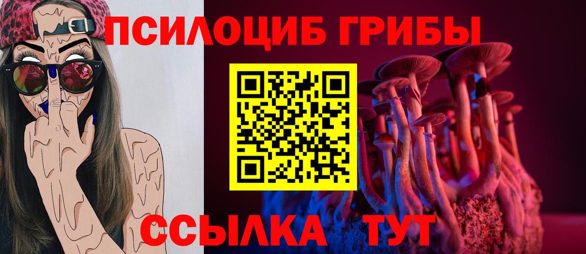магазин продажи наркотиков  Галлюциногенные грибы Psilocybe  Вход с VPN  Галлюциногенные грибы Psilocybe  Кингисепп 